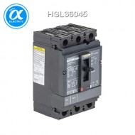 [슈나이더] HGL36045 / 배선용차단기(MCCB) / PowerPact H / Thermal magnetic, Unit mount,  / 45A, 3 pole, 18 kA, 600 VAC, 80% rated